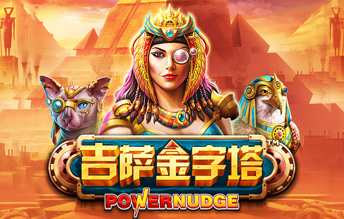 彩虹网官方网站下载
